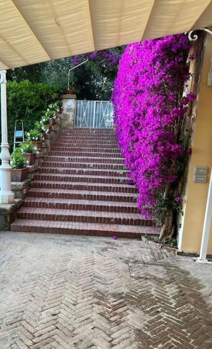 Villa Vie En Rose Sorrent Exterior foto